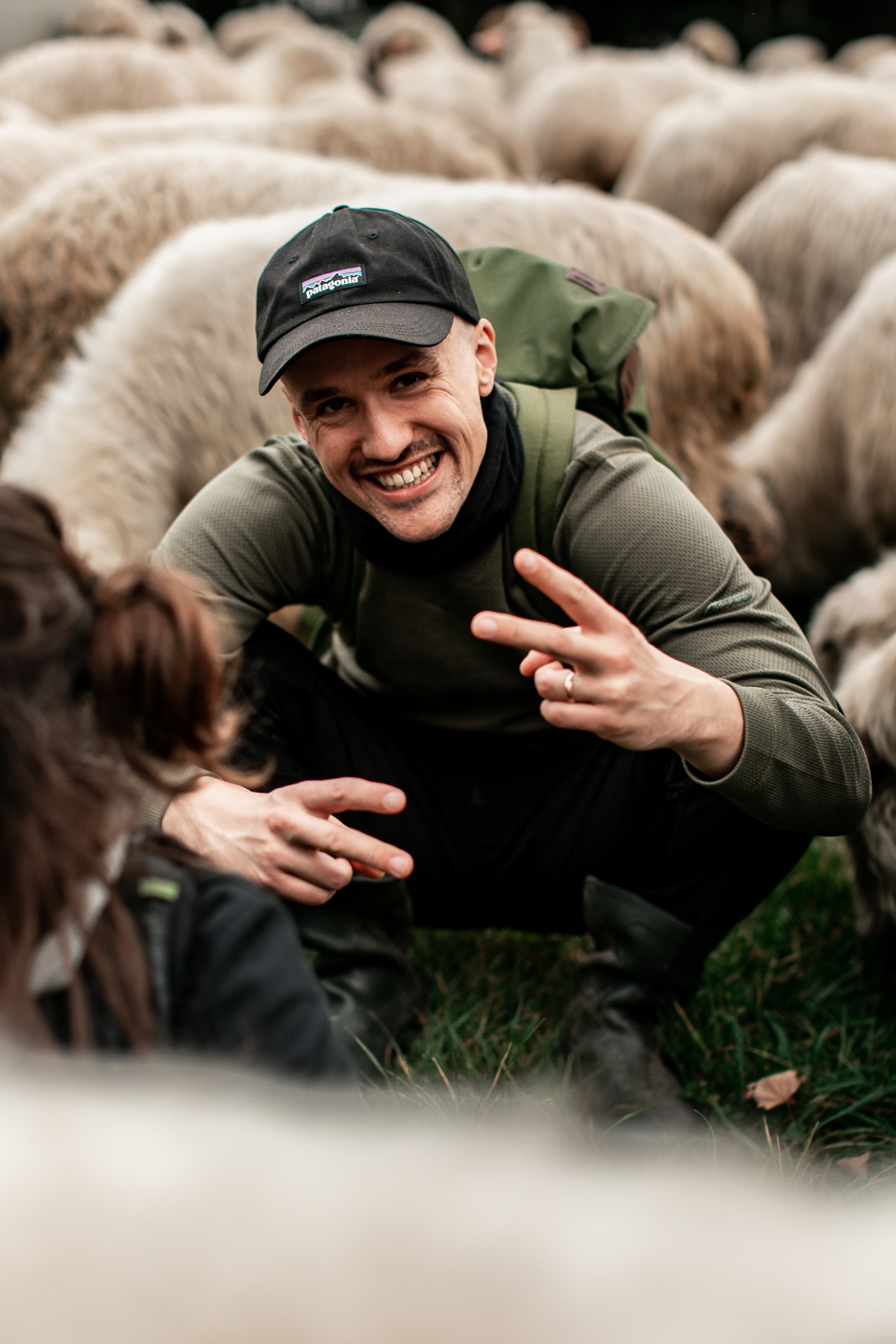 Leadersheep na wypasie