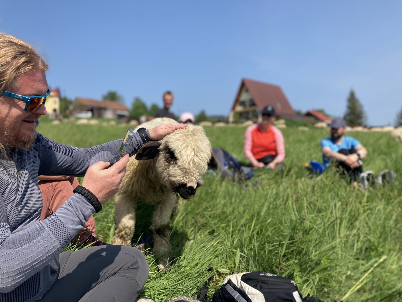 Leadersheep na wypasie 